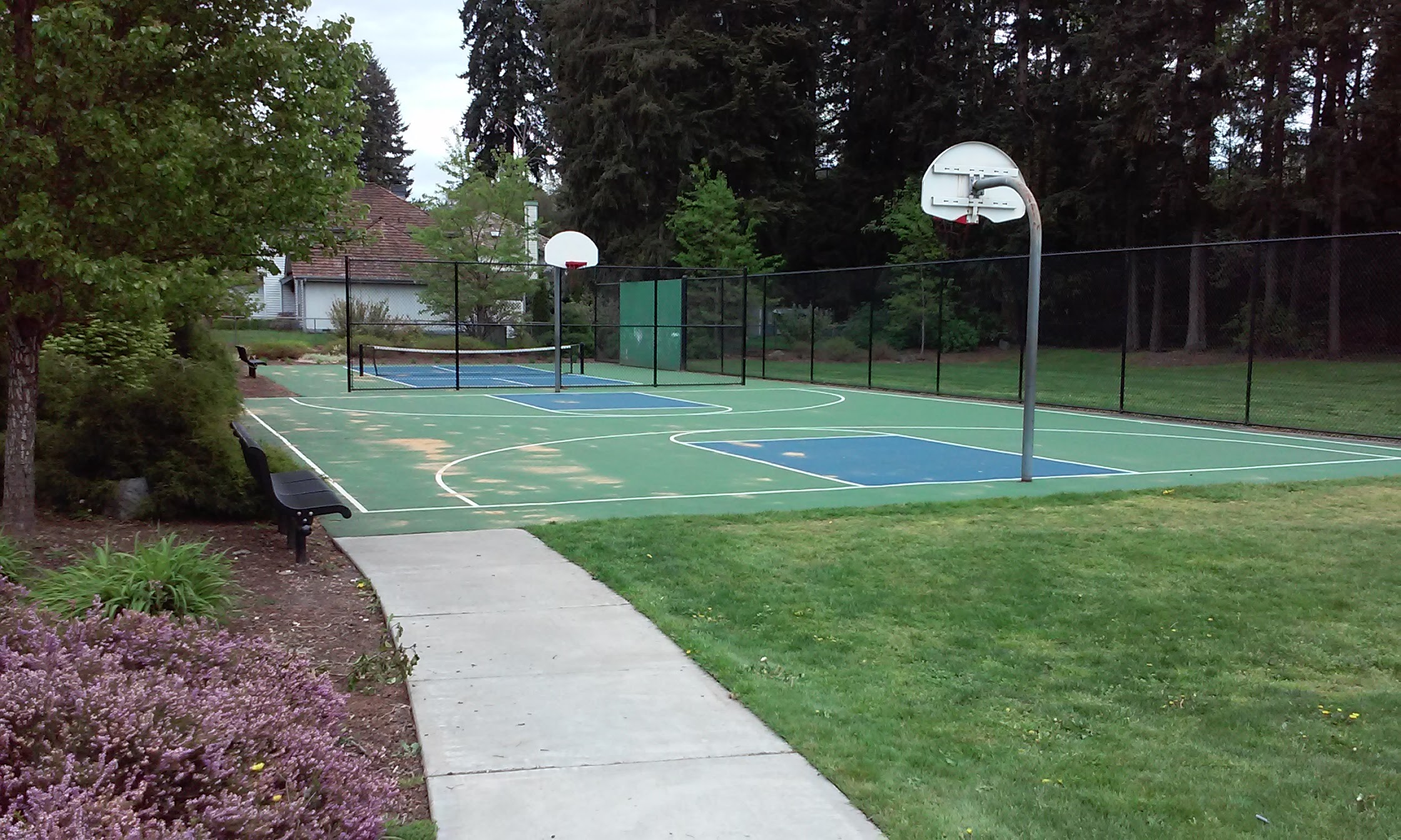 Pickleball courts at Shaughnessy Park Auburn, WA