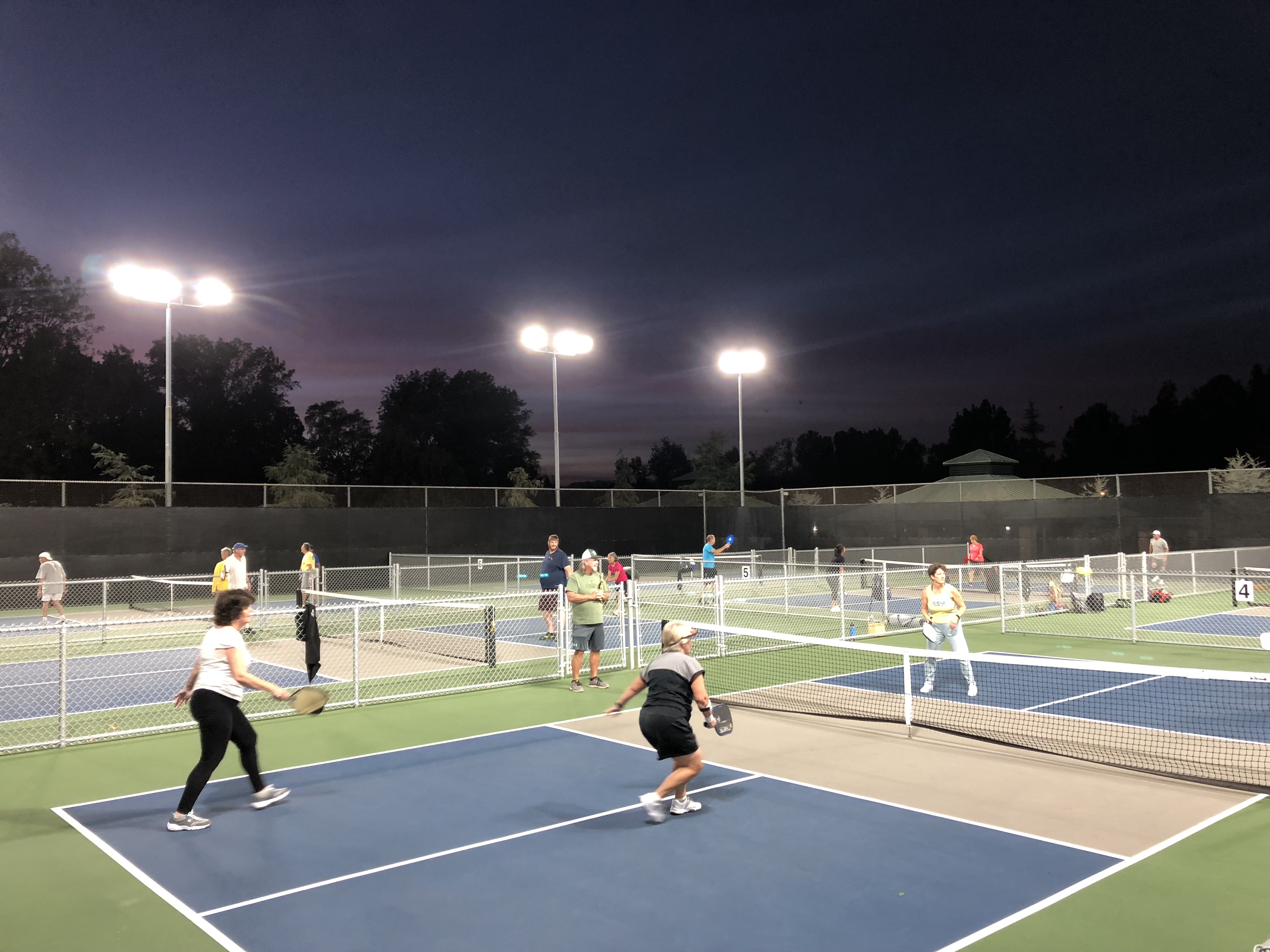 Play Pickleball at Duck Park: Court Information Pickleheads