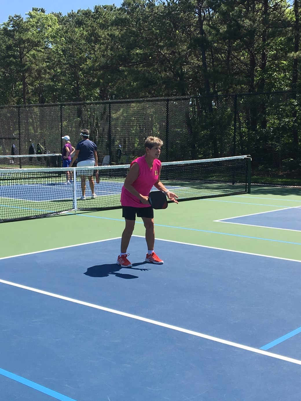 Pickleball courts at Dennis Wixon Courts South Dennis, MA